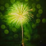 Pat’s View: Fireworks memories | Westside Seattle