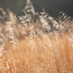 What is a drought and why isn’t Seattle in one?